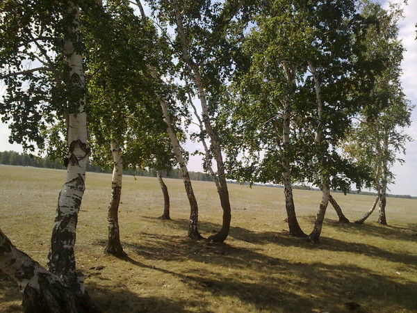 Андрей Лихачев