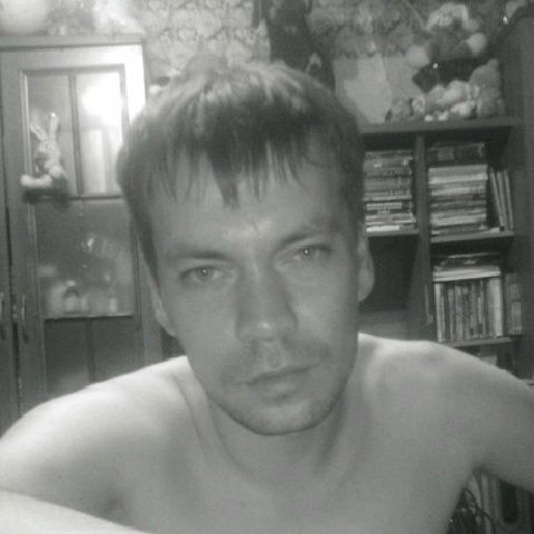 Дмитрий Гулин