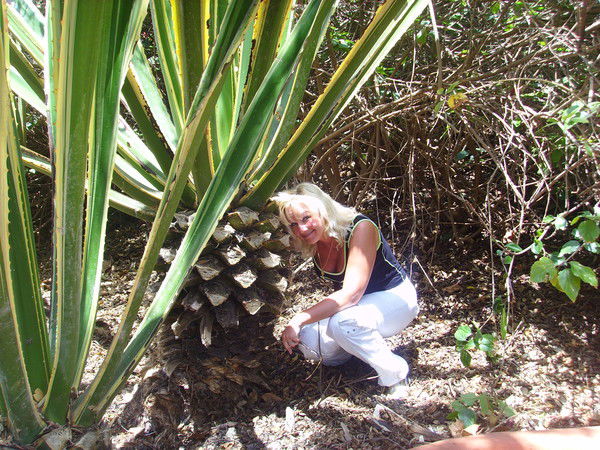 Ольга Ентальцева