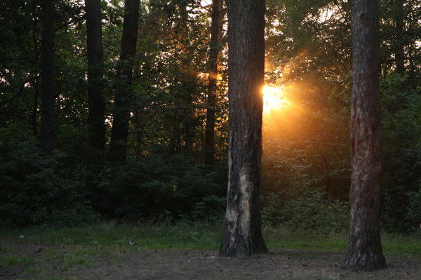 Рита Тимончик