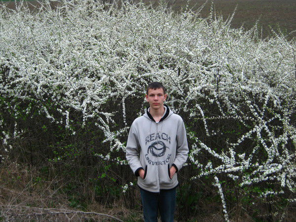 Андрей Шубин