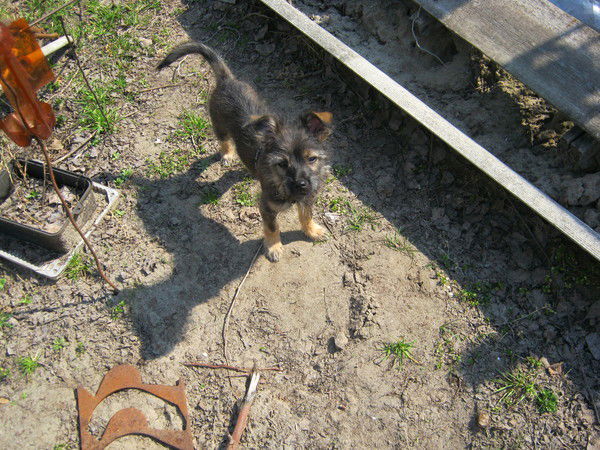 Анна Быховская