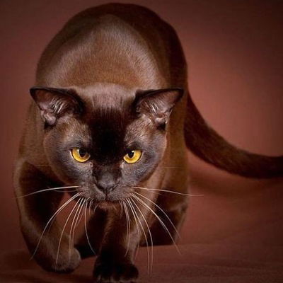 Наталья Ольгина