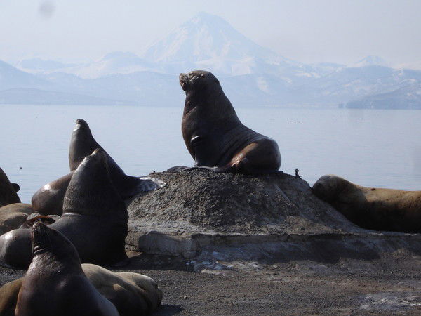 Игорь Глебов