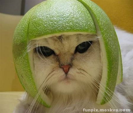 Виктор Юхнин