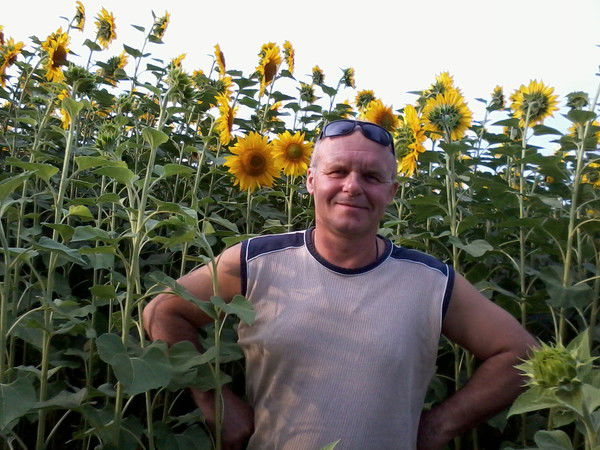 Владимир Даценко