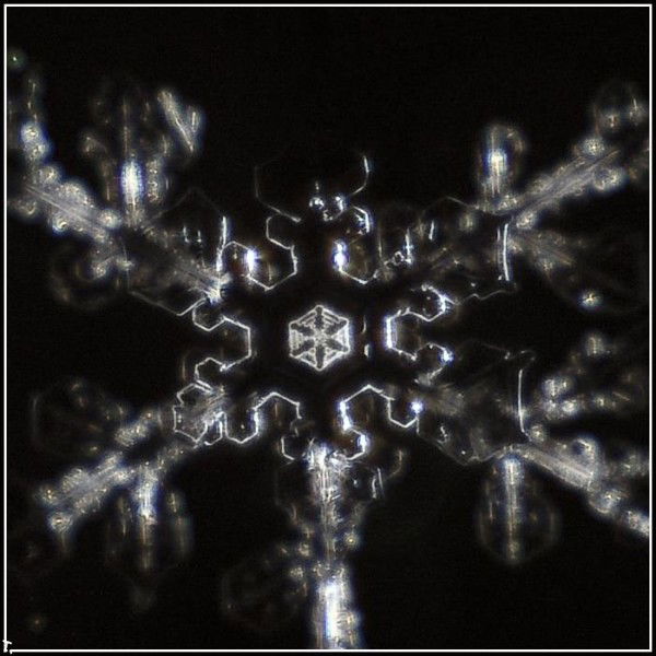 Татьяна Кашина