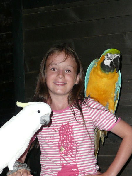 Анна Корниенко