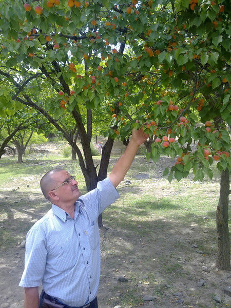 Асомиддин Рахматуллоев