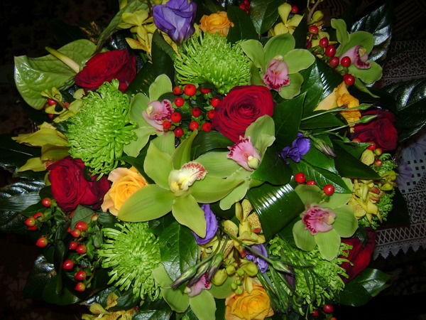 Елена Толстендорф