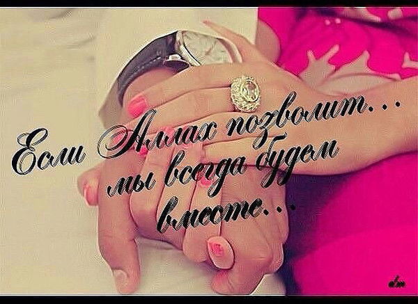 ***loves Freedom ***