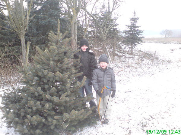 §§§§§§ §§§§§§