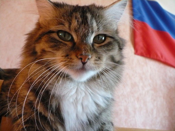 Евгений Милкин