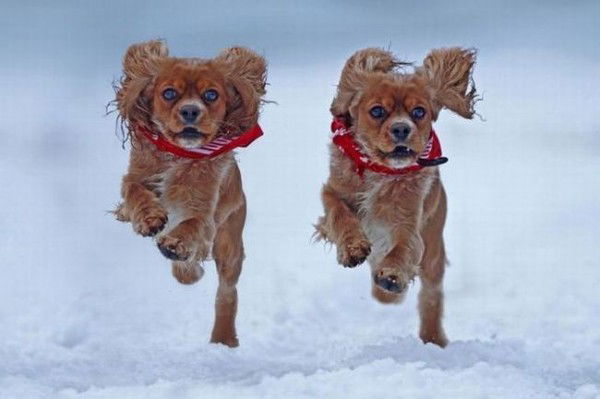 Кызгaлдак Ныязбек Кызы