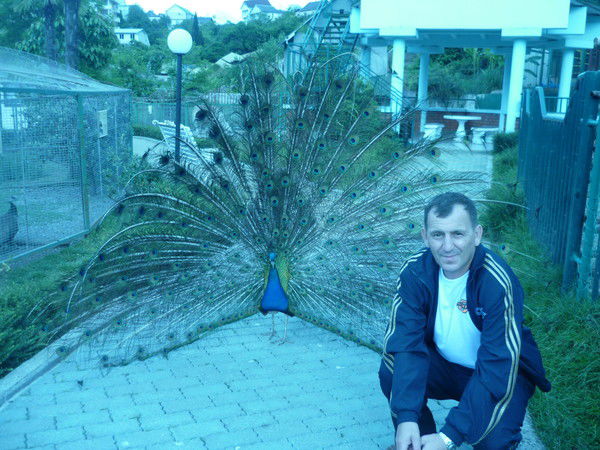 Александр Корницкий