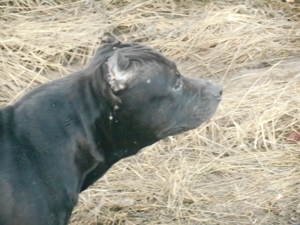 Александр Кириллов