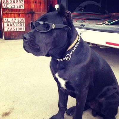 Миша Вязовцев