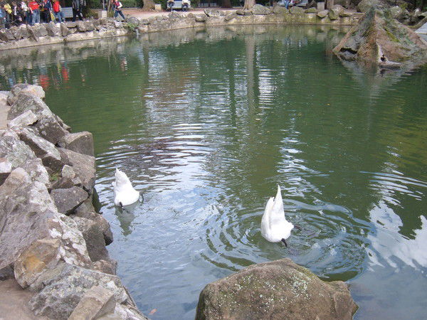 Николай Зубченко