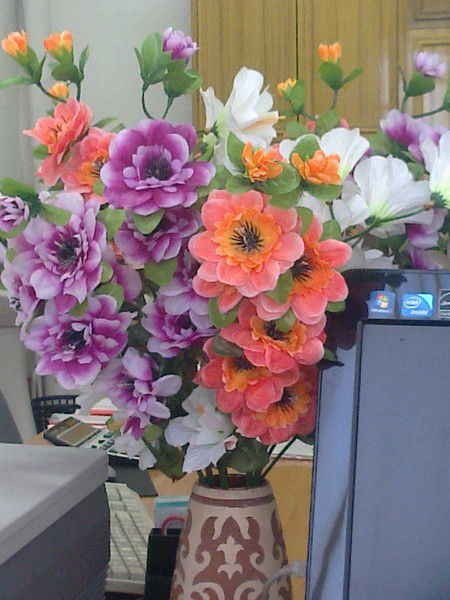 Жансая Ериковна