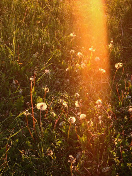 Екатерина Жамалетдинова