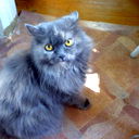 Elvira Shabalina