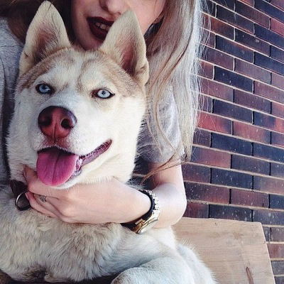 Полина Рыбальченко