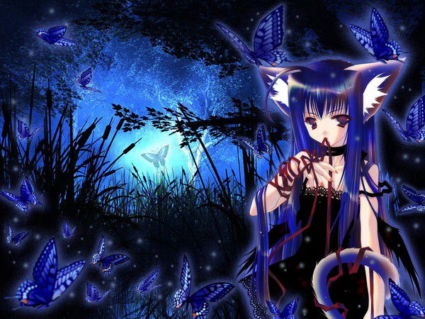 $$$ Лапо4Ка $$$