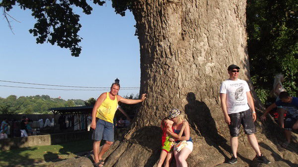 Александр Воробьёв