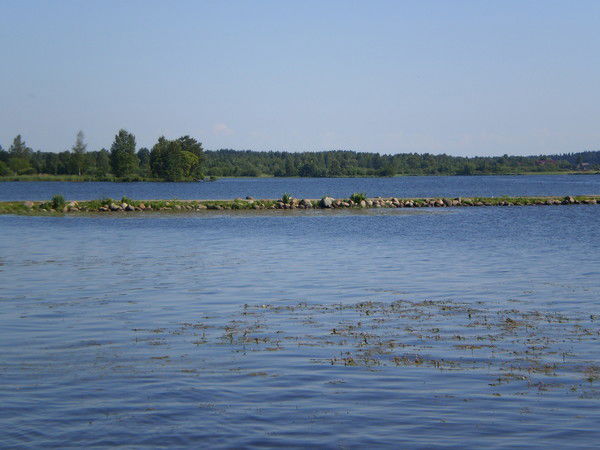 Ирина Кульгейко