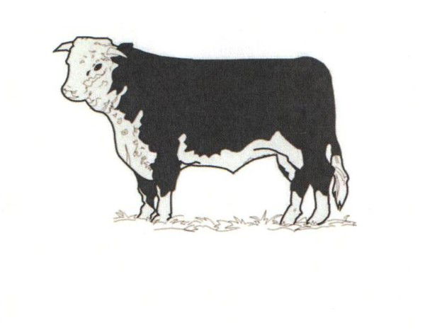 Тоо Пз Балкашинский