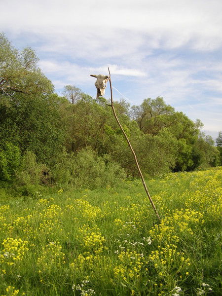 Блохин Евгений