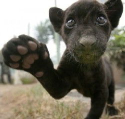 Татьяна Пасынкова