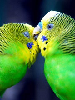 Сергей Ижбулдин