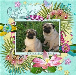 Людмила Чистякова