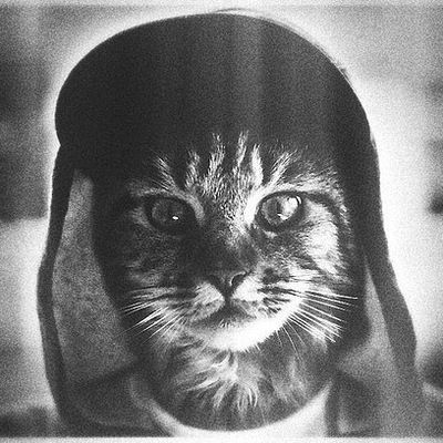 Алексей Царегородцев