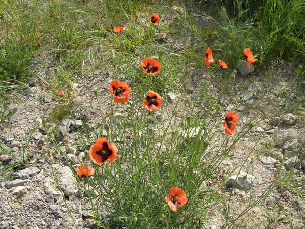 Юлия Васильевна