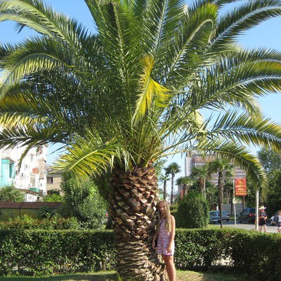 Яна Прошлякова