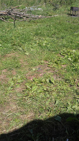 Стрельченко Сергей