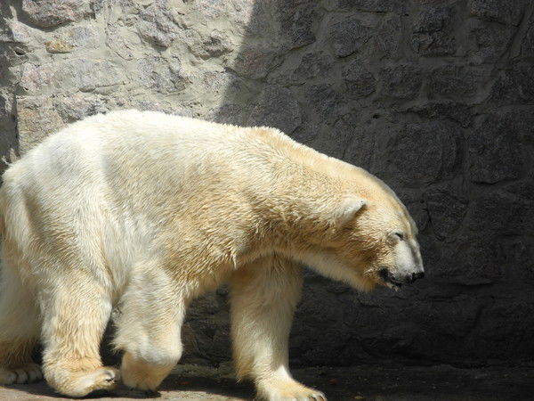 Артём Кудинов
