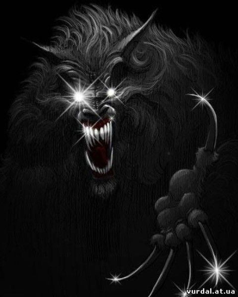 Владислав Чеботников