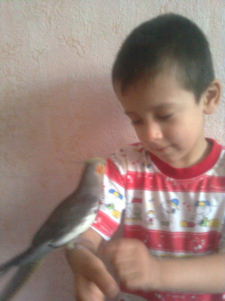 Равиль Абдульфанов