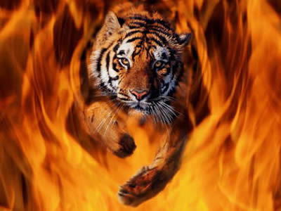 Алексей Гладышев