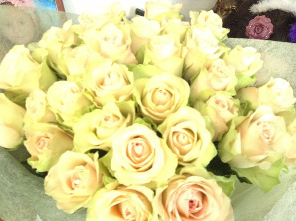 Демина Татьяна