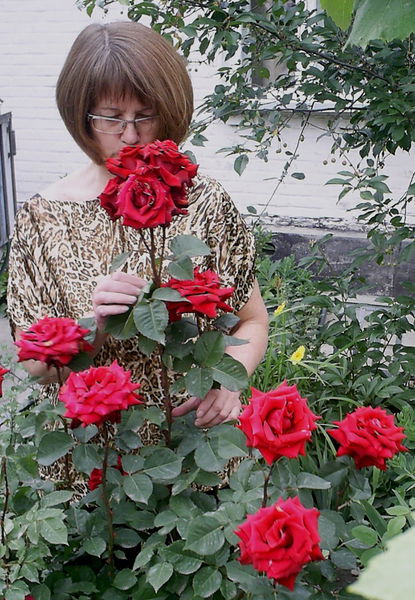 Ирина Горбунова