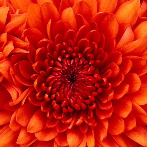 Людмила Мохуренко