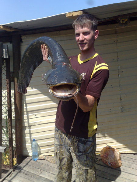 Максим Чернов