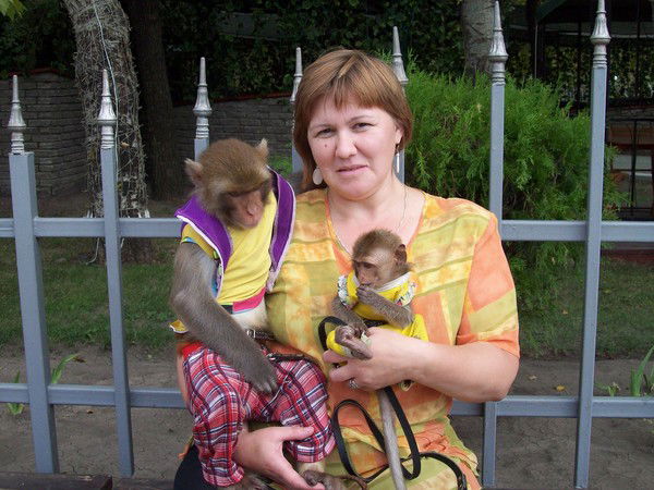 Светлана Падерина