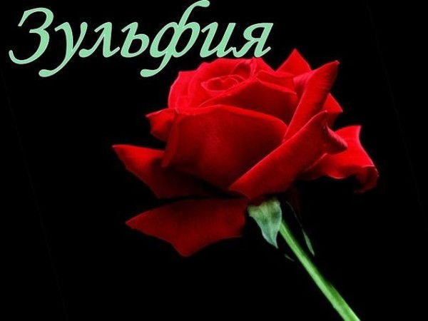 Зульфия Наурзбекова