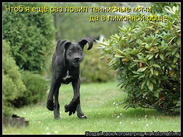 Юлия Евгеньевна