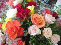 Любовь Трушкова